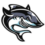 Profile picture of The Site Shark
