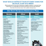 ss-website-management-packages-2