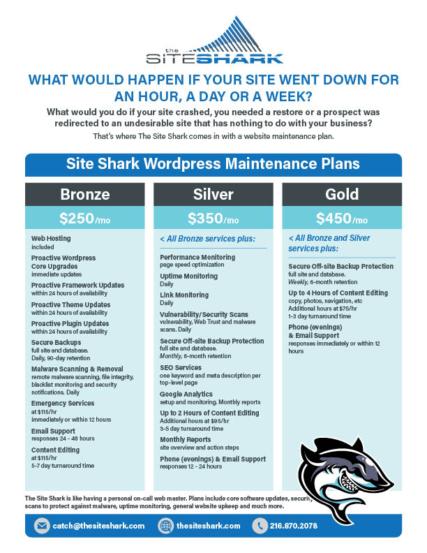 ss-website-management-packages-2